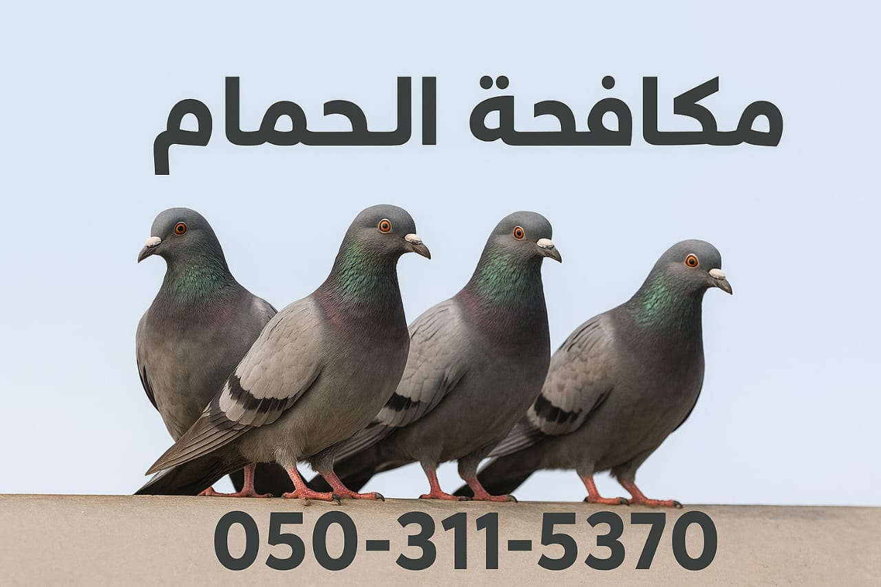 كيف اتخلص من الحمام والطيور