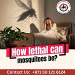 Mosquito Control Services in Abu Dhabi