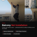 Pigeon Control Services in Abu Dhabi