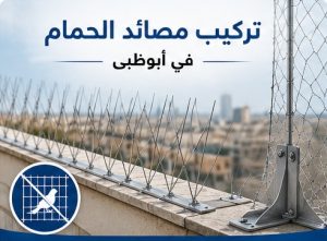 تركيب مصائد الحمام في ابوظبي