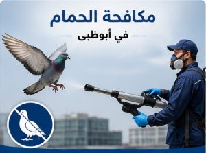 مكافحة الحمام في ابوظبي