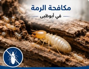 مكافحة الرمة في ابوظبي