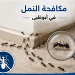 مكافحة النمل في أبوظبي