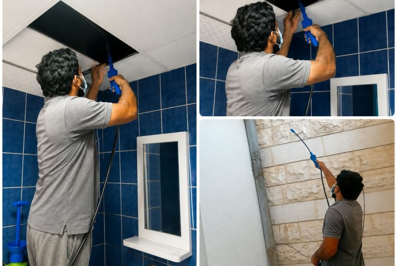 Alsayyad Pest Control Services provides professional and reliable pest control solutions across Abu Dhabi. We offer effective treatments for cockroaches, ants, rodents, bed bugs, and other common pests.