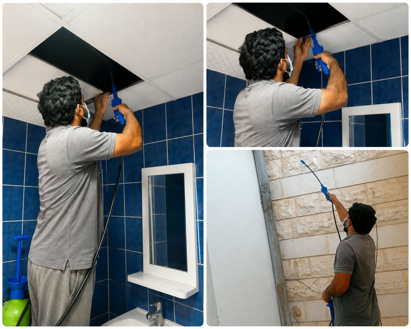 Alsayyad Pest Control Services provides professional and reliable pest control solutions across Abu Dhabi. We offer effective treatments for cockroaches, ants, rodents, bed bugs, and other common pests.